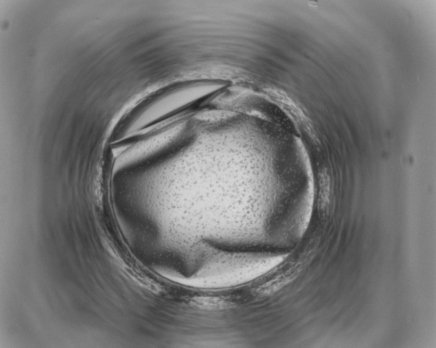 X0000087690392200706011724