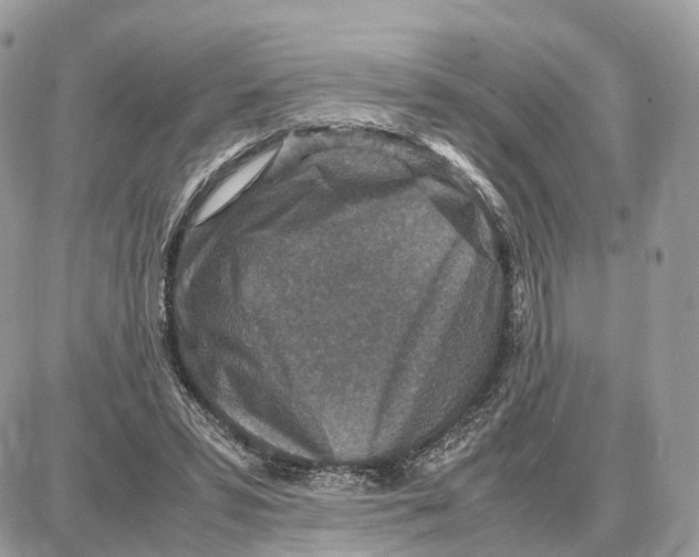 X0000087690399200706011724