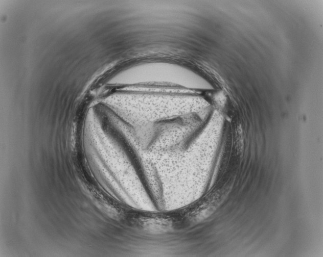 X0000087690400200706011724