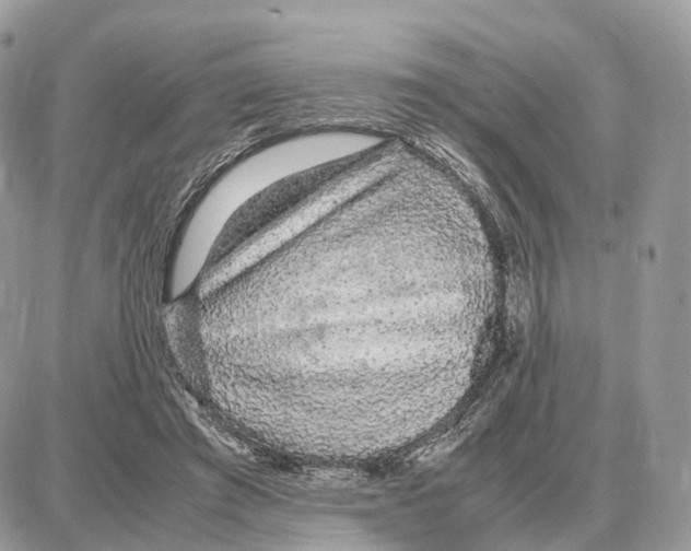 X0000087690401200706011724