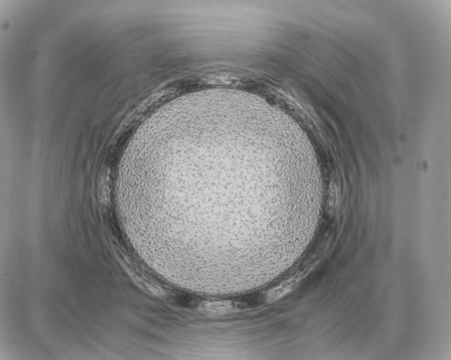 X0000087690413200706011724