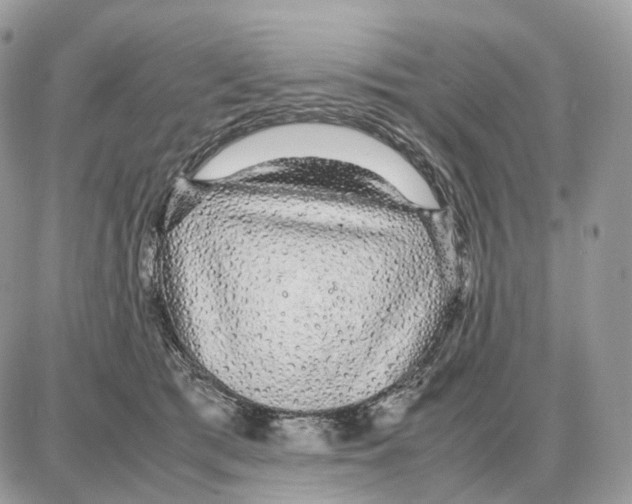 X0000087690417200706011724