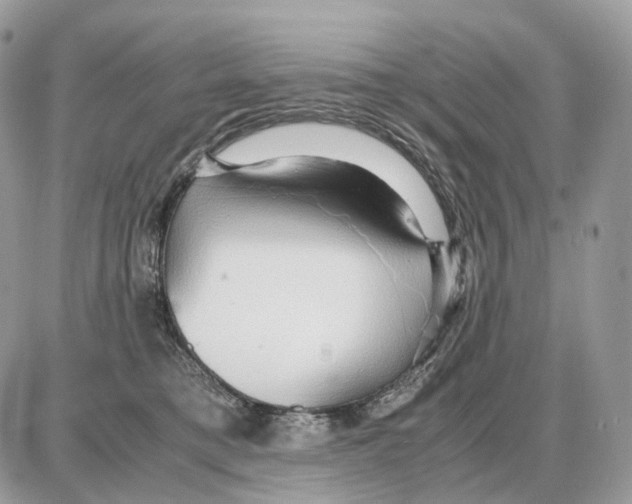 X0000087690421200706011724