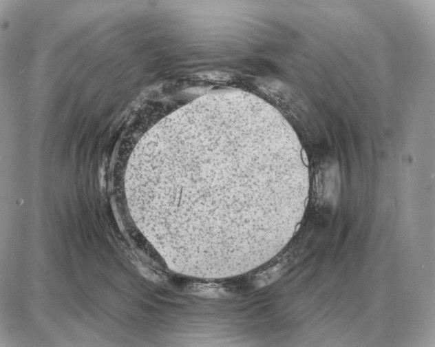 X0000087690424200706011724