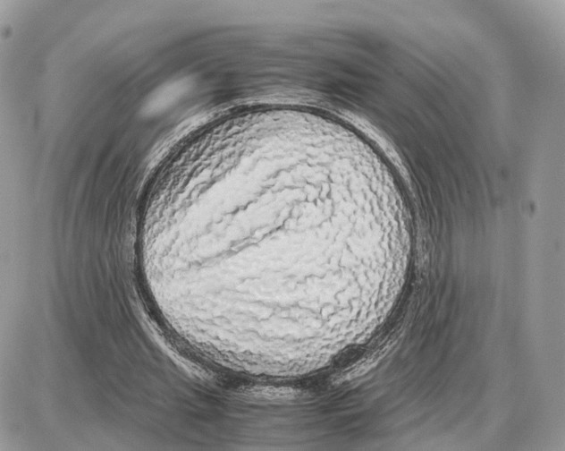 X0000087690437200706011723