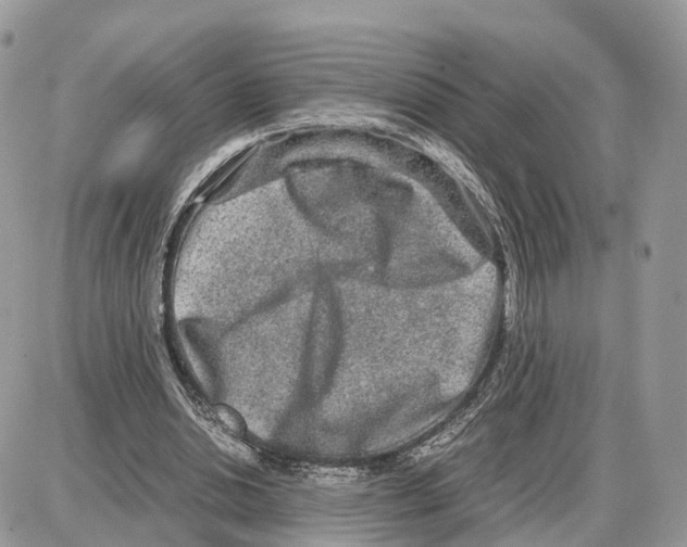 X0000087690438200706011723