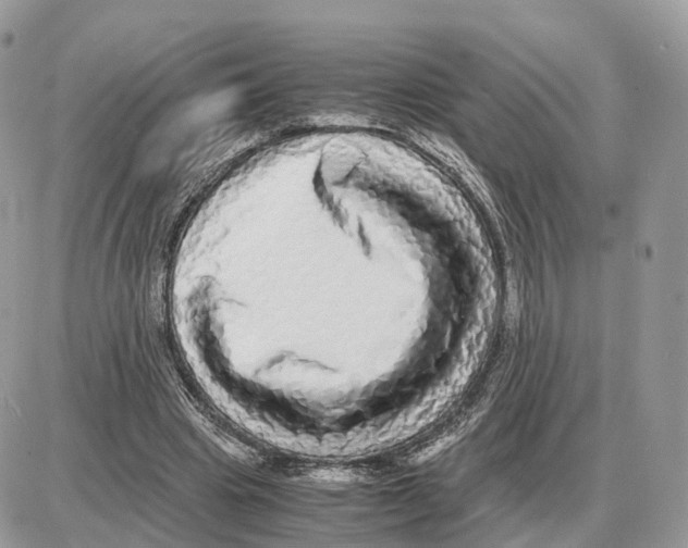 X0000087690441200706011723