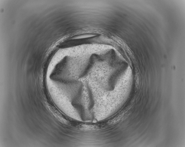 X0000087690442200706011723