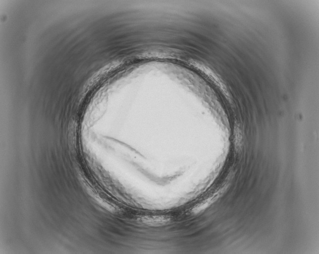 X0000087690445200706011723