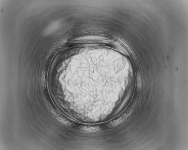 X0000087690453200706011723