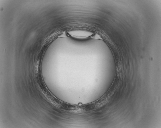 X0000087690454200706011723