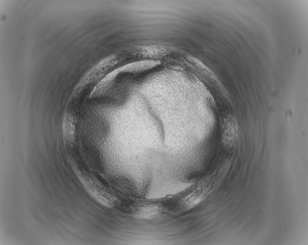 X0000087690456200706011723