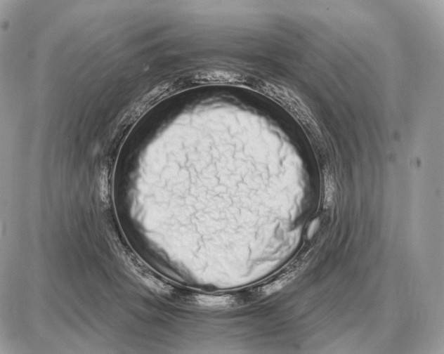 X0000087690457200706011723