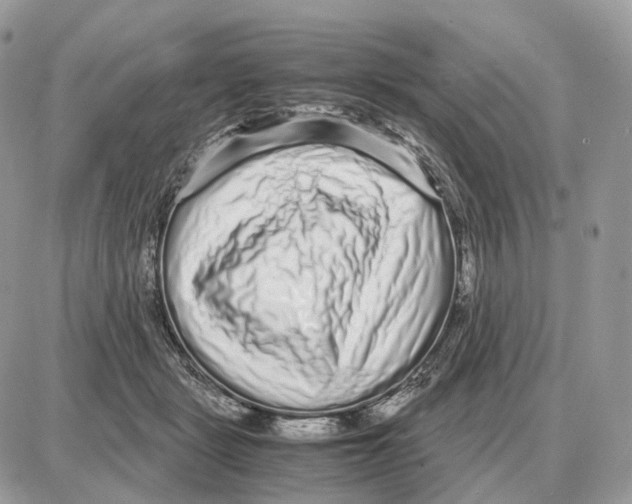 X0000087690461200706011723