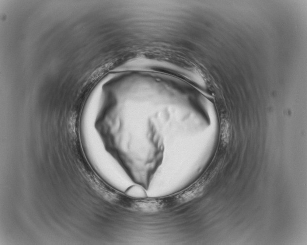 X0000087690466200706011723