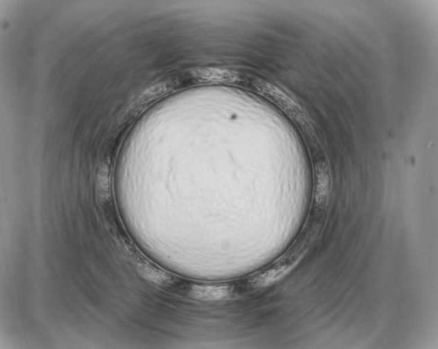 X0000087690469200706011723
