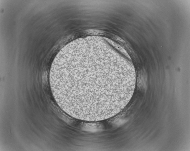 X0000087690473200706011724