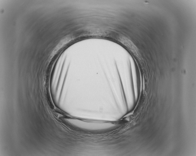 X0000087690483200706011723