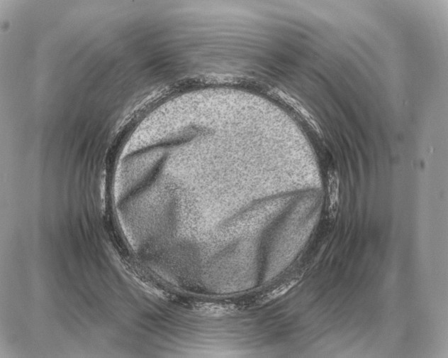 X0000087690494200706011723