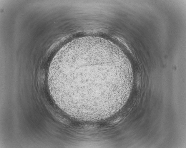 X0000087690495200706011723