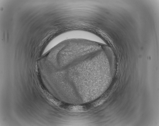 X0000087690501200706011723