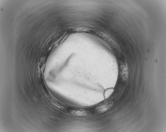 X0000087690506200706011722