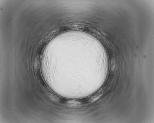 X0000087690515200706011722