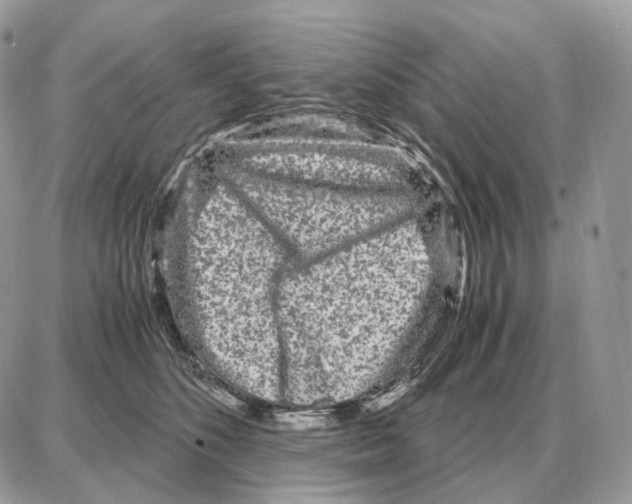 X0000087690516200706011722