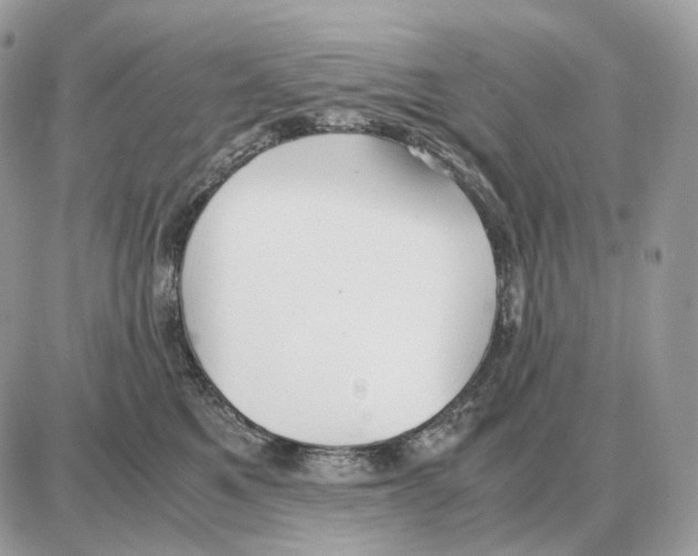 X0000087690521200706011722