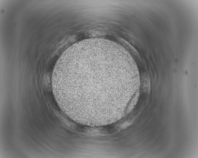 X0000087690523200706011722
