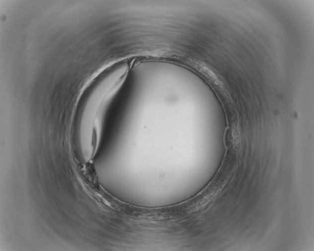 X0000087690532200706011721
