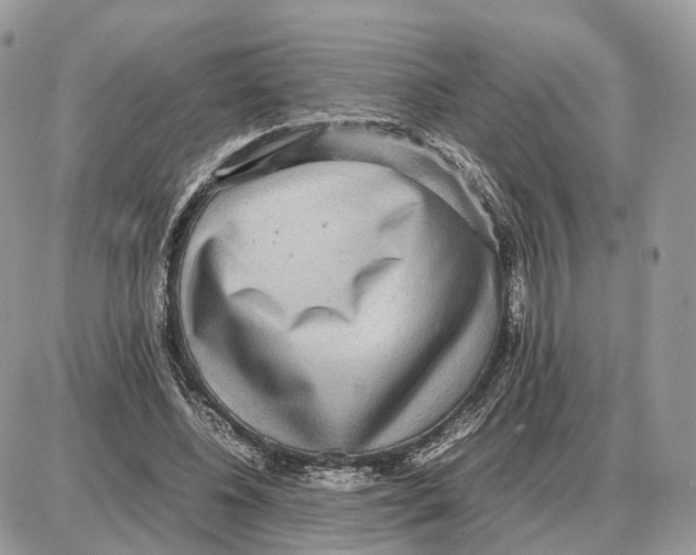 X0000087690540200706011722
