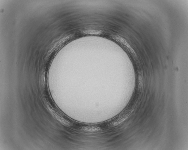 X0000087690541200706011722