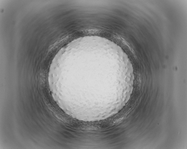 X0000087690545200706011722