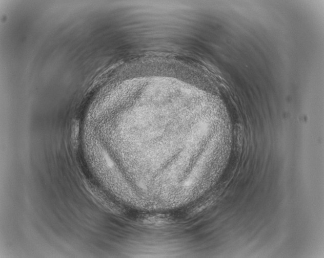 X0000087690550200706011722