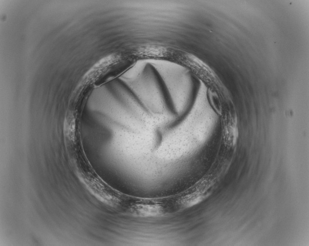 X0000087690552200706011722