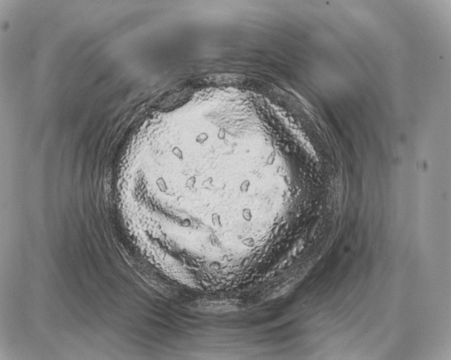 X0000087690553200706011722