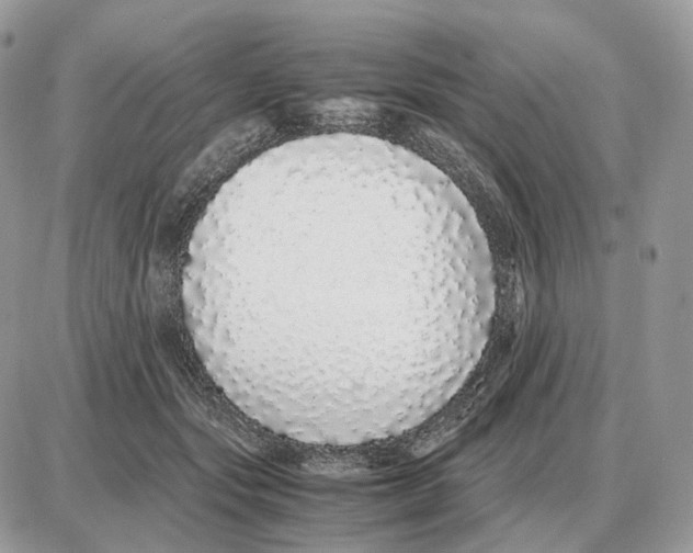 X0000087690557200706011722