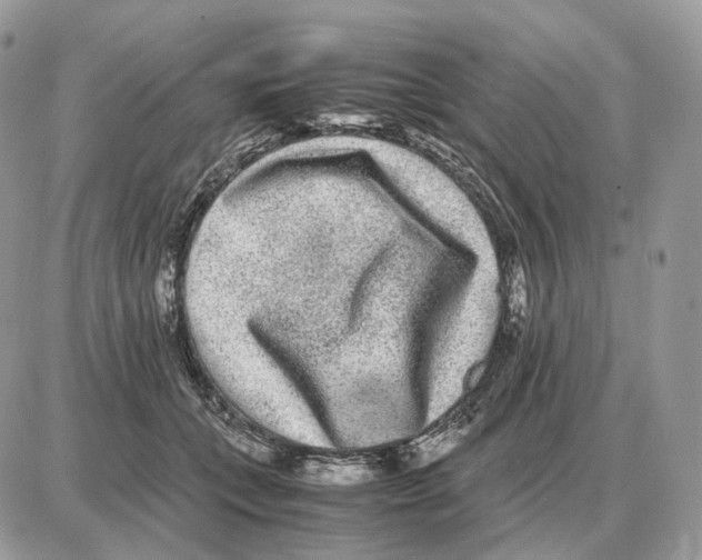 X0000087690559200706011722