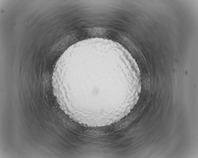 X0000087690561200706011722