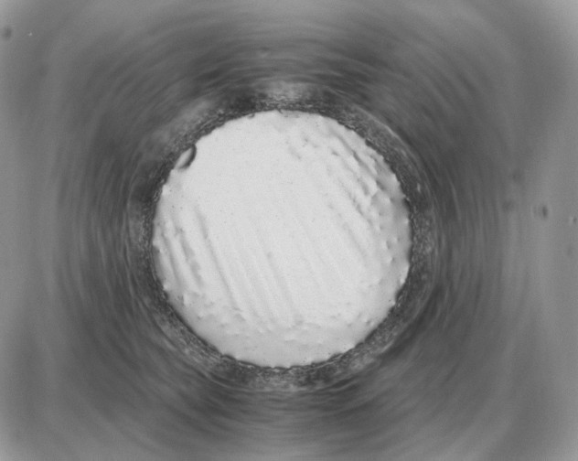 X0000087690565200706011722