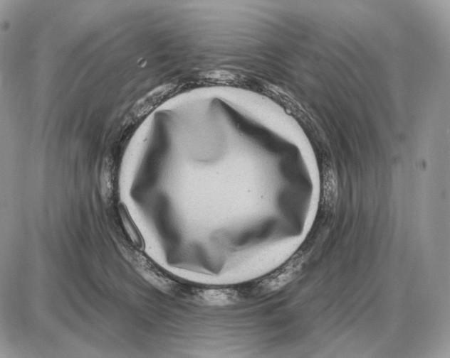 X0000087690566200706011722