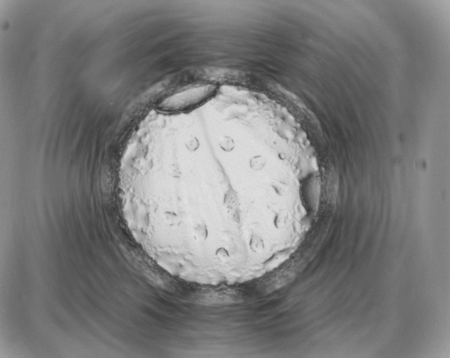 X0000087690569200706011722