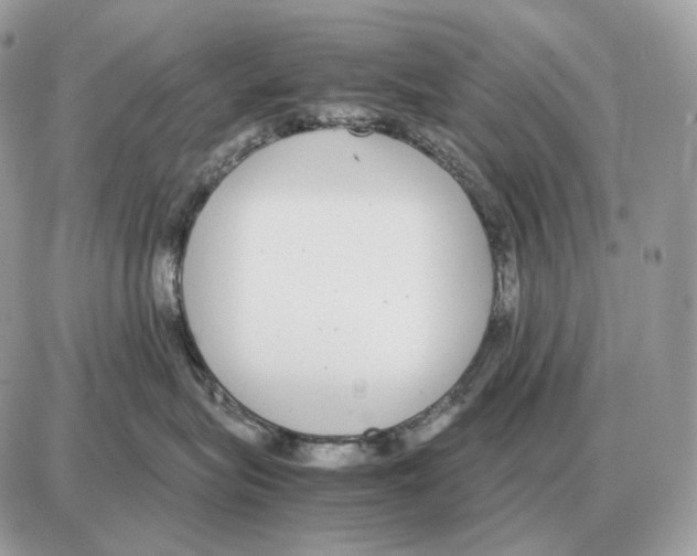 X0000087690575200706011722