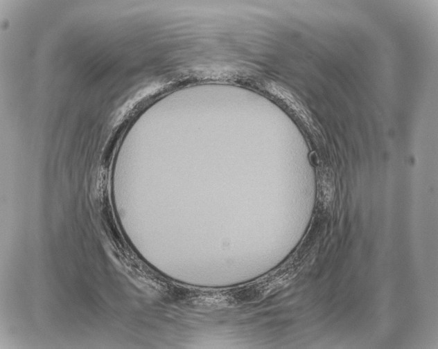 X0000087690583200706011721