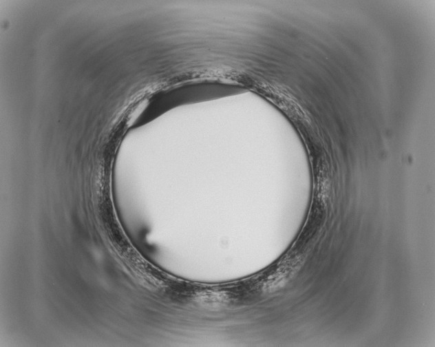 X0000087690591200706011721