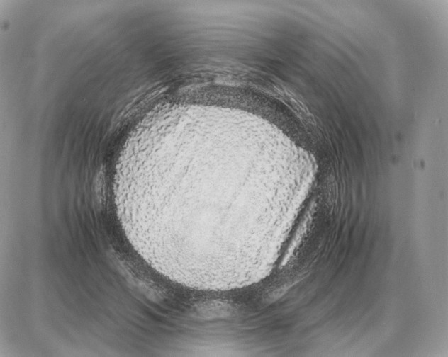 X0000087690594200706011721