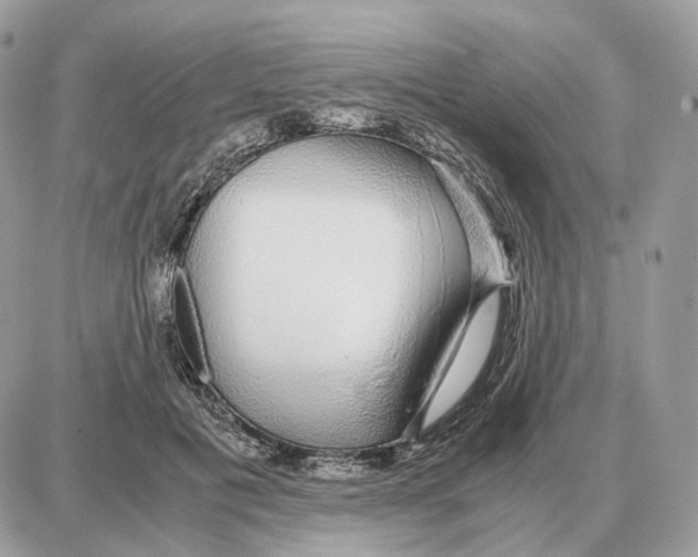 X0000087690601200706011721