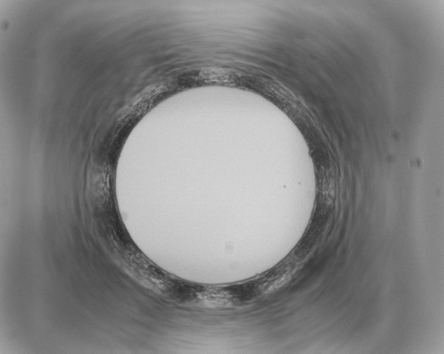 X0000087690603200706011721