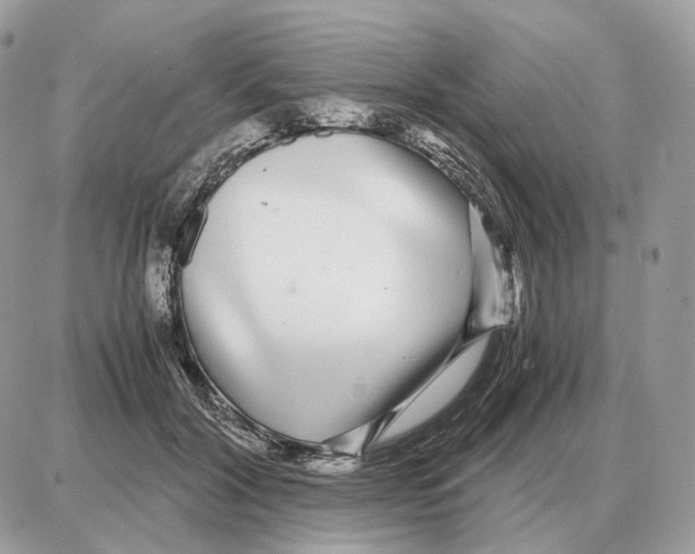 X0000087690604200706011721